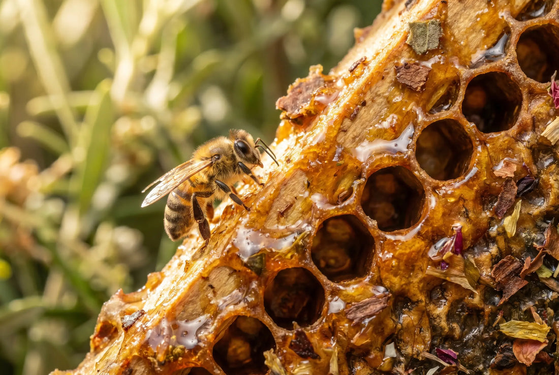 What Is Propolis and Why Is It in Oral Care Products?