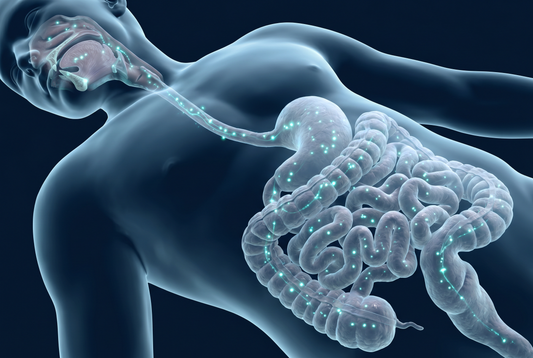 Can Oral Bacteria Affect Your Gut Health?