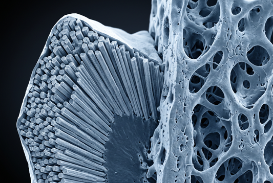 Enamel Remineralization: How Teeth Repair Naturally