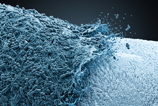 Is Hydroxyapatite Good for Your Teeth? Full Look