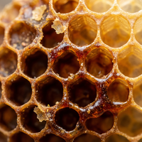 Natural Propolis